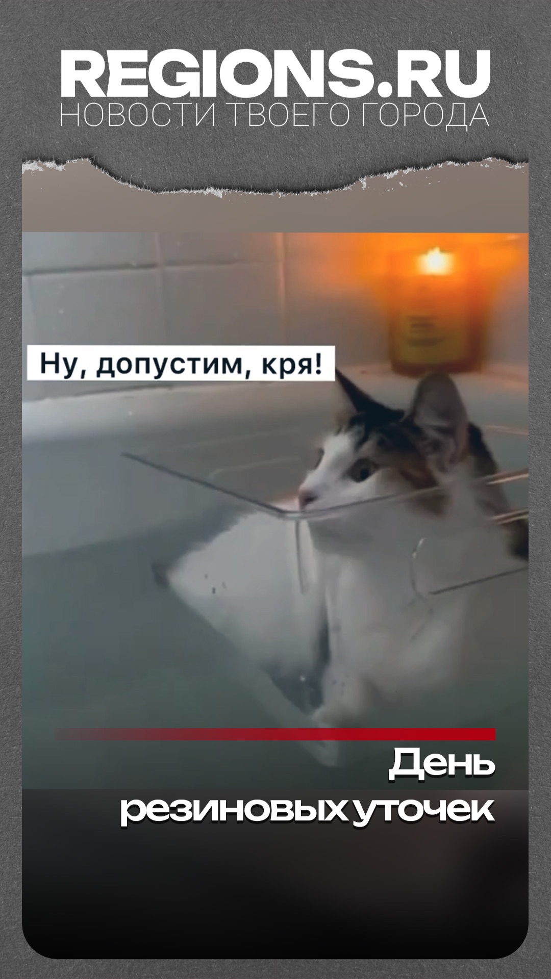 День резиновых уточек