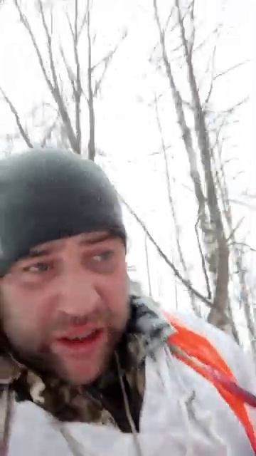охота на волка.mp4