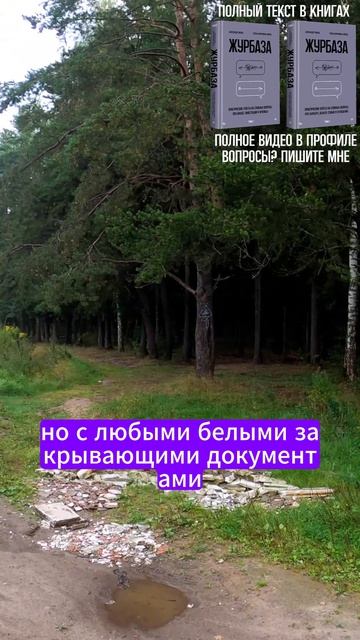 Про идеальный проект, которому точно дадут денег 1