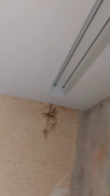 натяжные потолки Волгоград