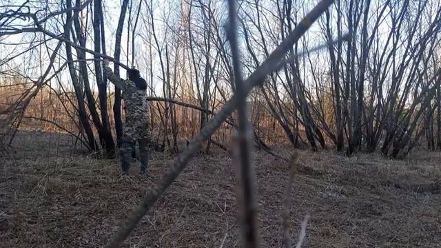 Весенняя охота на селезня. Кировская область.mp4