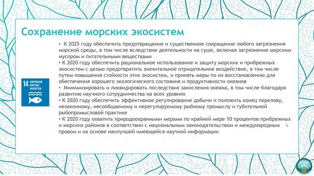 «Цели развития тысячелетия (ЦРТ) 2000 - 2015, Цели устойчивого развития (ЦУР) 2015-2030» Пинаев В.Е.