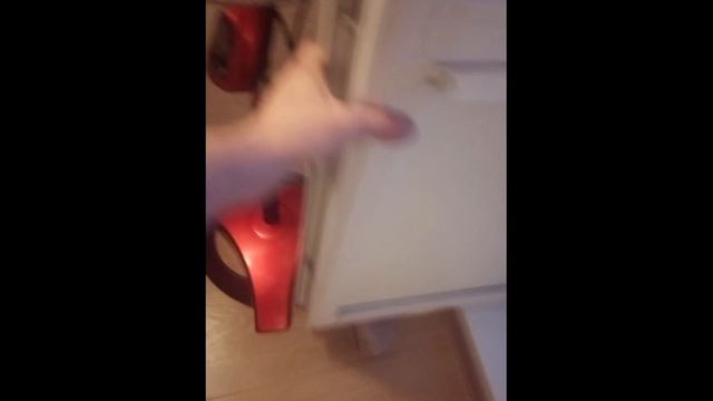 Залет матки шмеля The Arrival Of The Bumblebee Queen