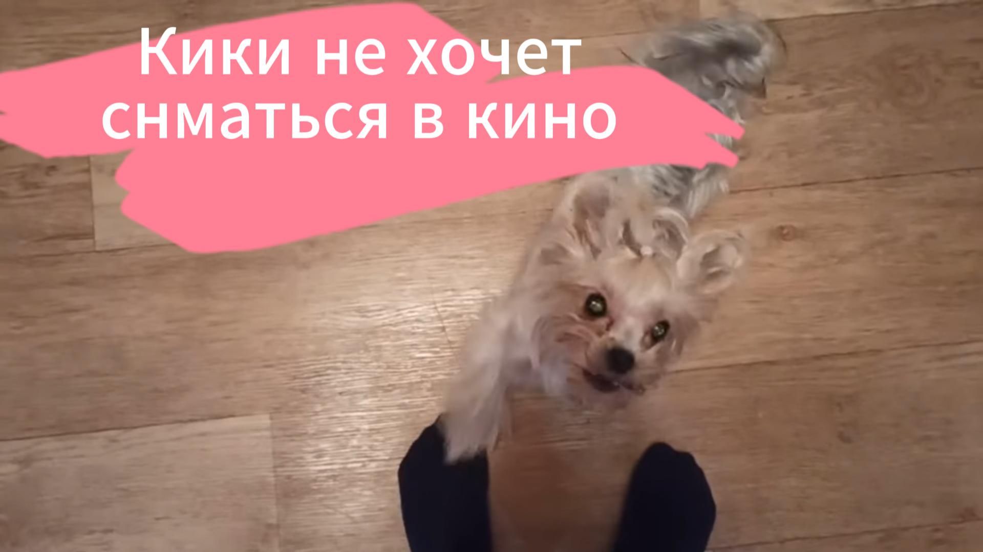 Кики не желает сниматься в кино!