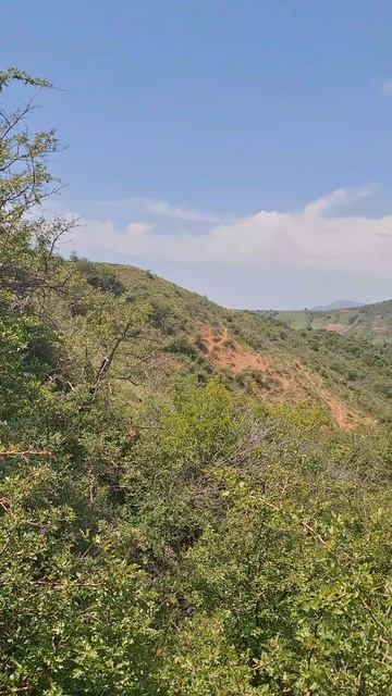 Бургулюк
