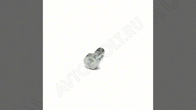 Болт штуцерный (банджо) М10 X 27 х 1