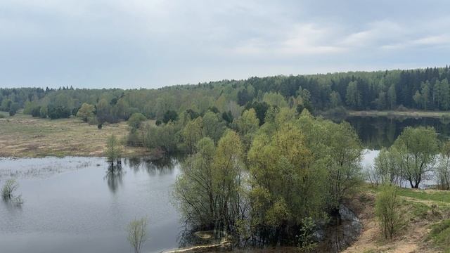 Природа родного края