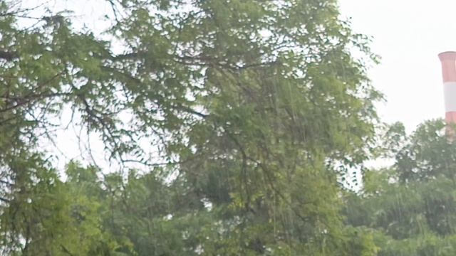 Гремит как!⛈️ В Кисловодске опять дождь, после нескольких солнечных деньков.