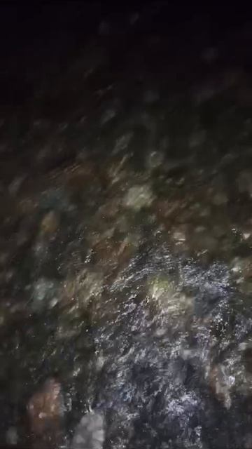 1000006796.mp4