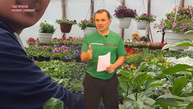Что посеять в феврале полный список. Полезное видео для огородников.