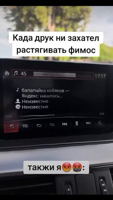кабачок шарит