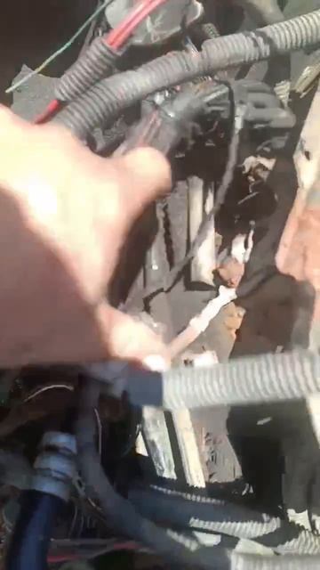 Opel Omega B, мы в Макс