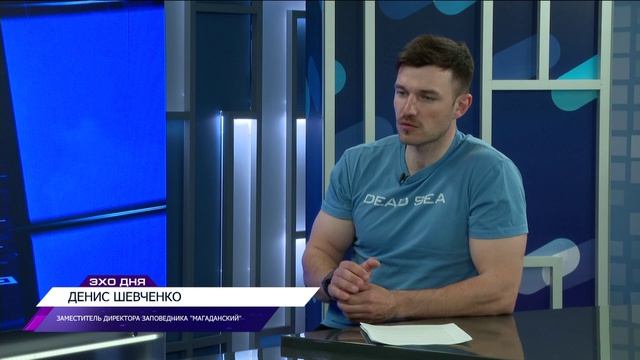 Интервью с Денисом Шевченко