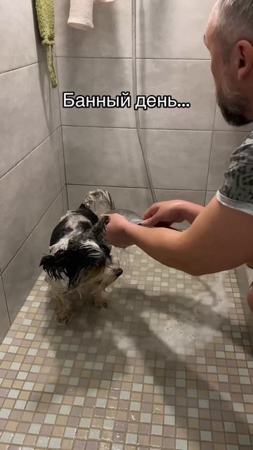 Банный день