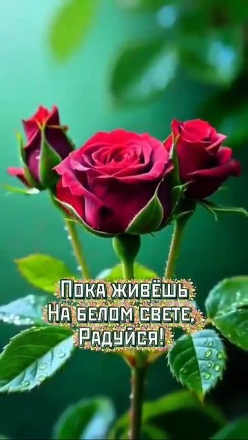 радуйся