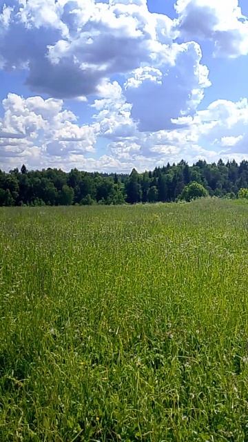 915 лет местам, старая земля 5 июня 2026 год