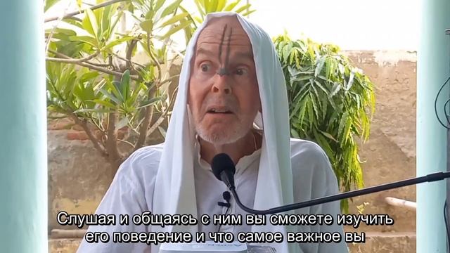 С Гуру минимум год