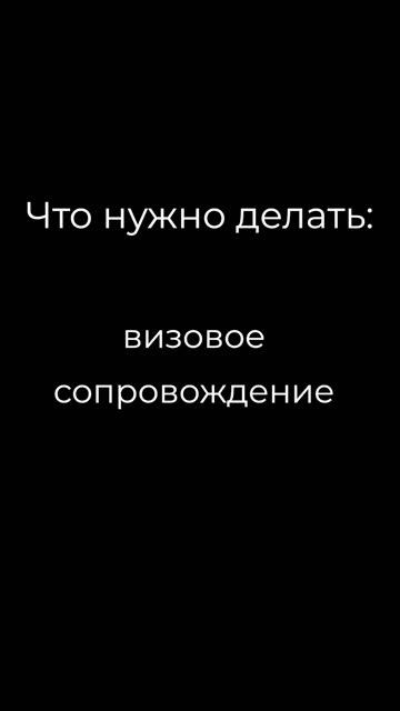 Визовый менеджер