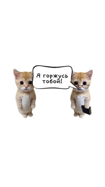 один день из сына мамины подруги