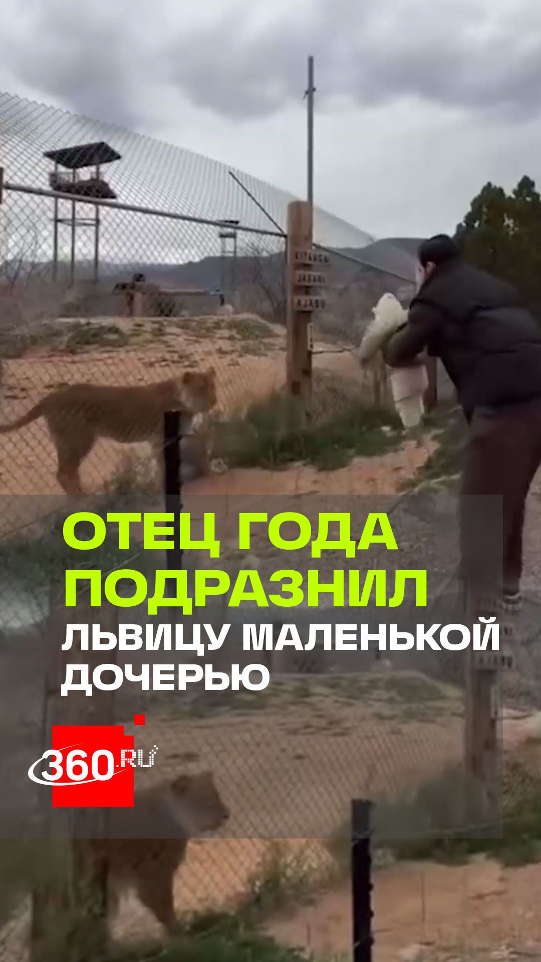 Карина Каспарянц и ее муж Оск оказались в центре скандала после публикации видео из зоопарка