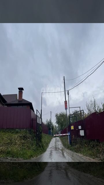 3594158