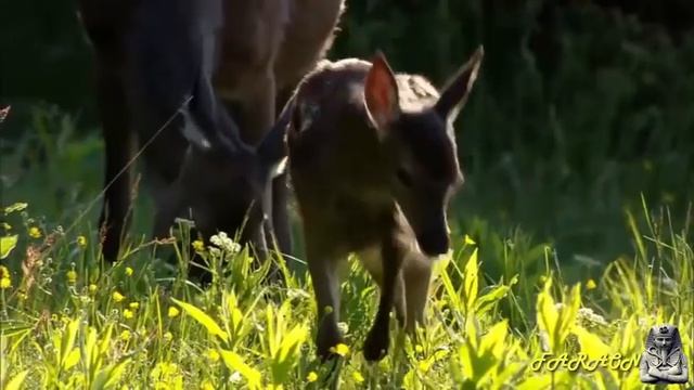 Для релакса и спокойствия