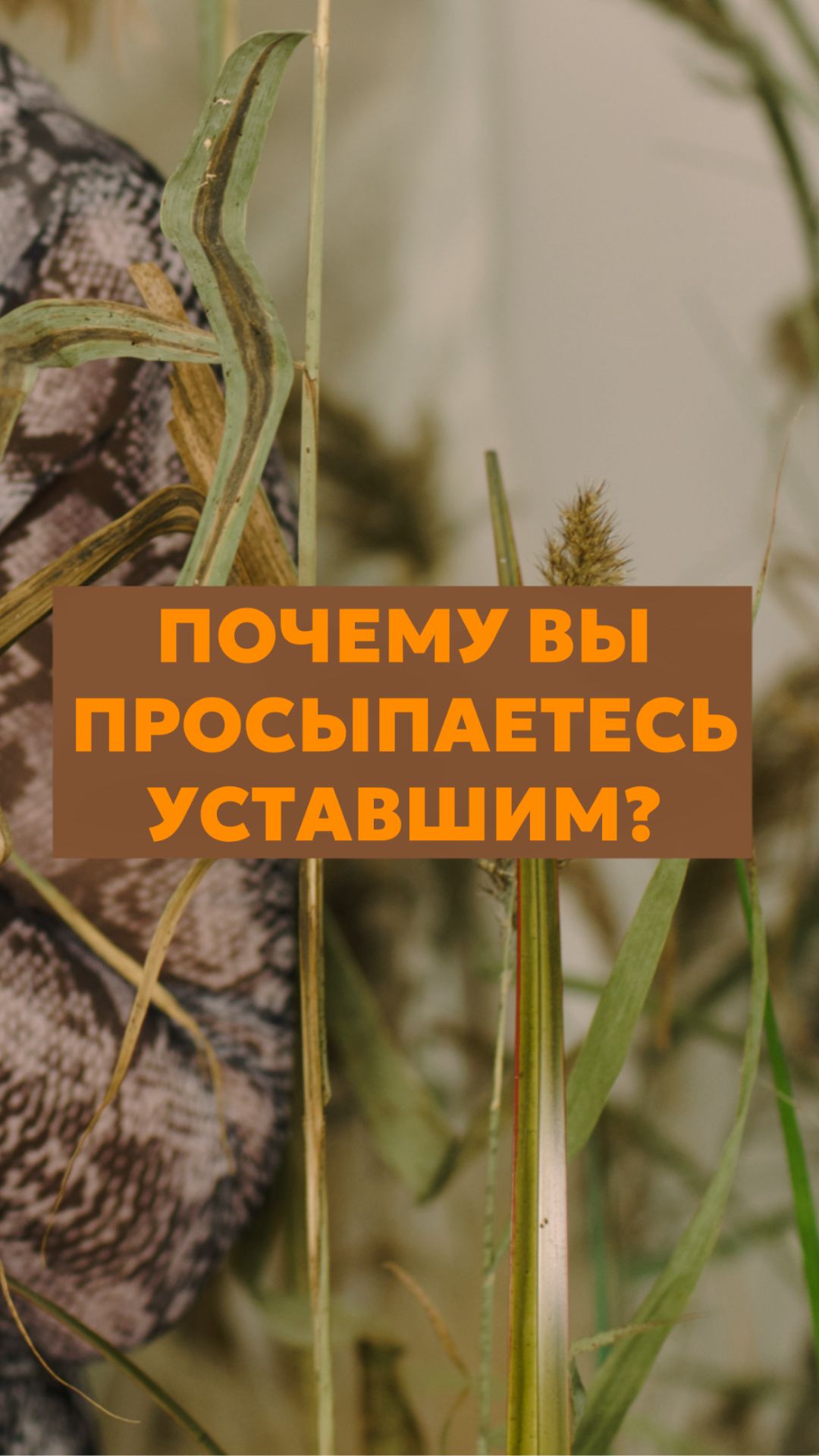 Почему вы просыпаетесь уставшим?