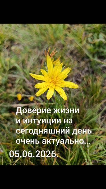 Девиз дня!✨05.06.2026. Как вы доверяете жизни и интуиции... Понимание себя и других!#мысли #чувства