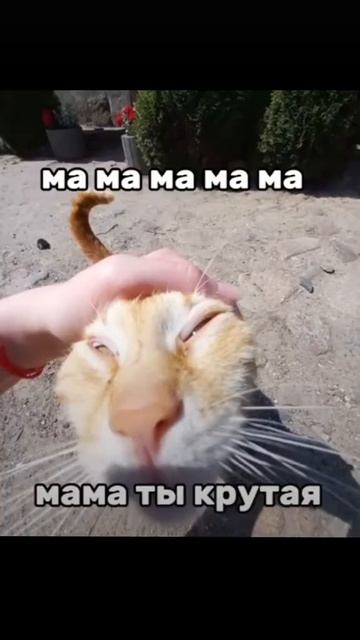 мама