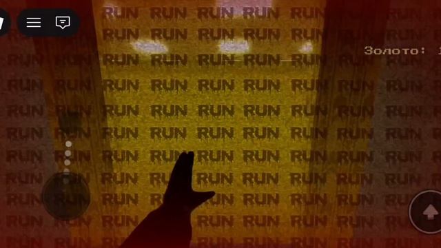 1000002176.mp4