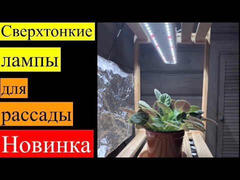 Как выбрать лучшую фитолампу? Как рассчитать мощность? Какой спектр нужен?