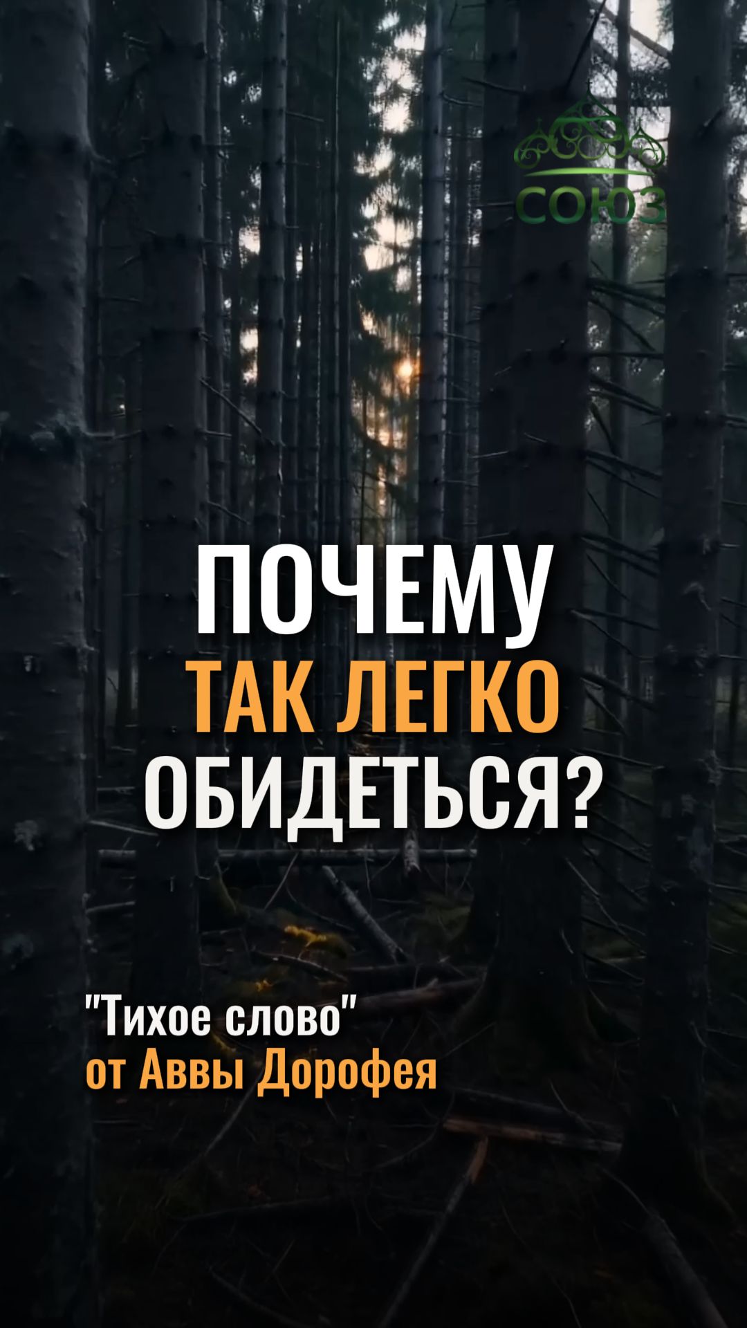 Почему так легко обидеться?