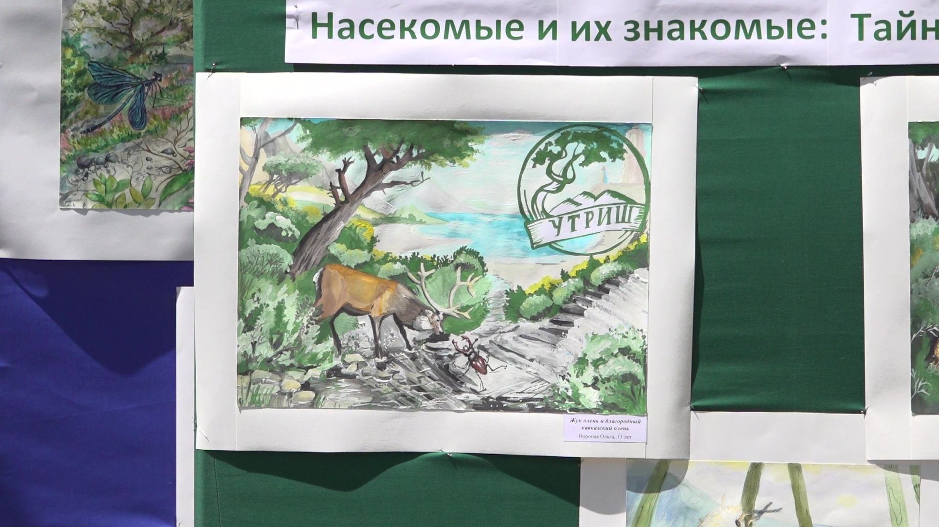 Заповедник «Утриш» торжественно наградил юных экологов и их педагогов за участие в конкурсах