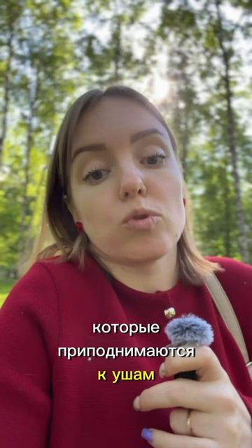 Если в паре охлаждение...