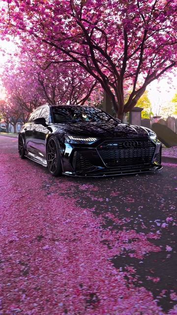 #audi #rs6 #fyp #cars