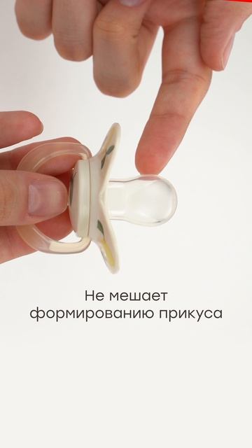 13008/1_Пустышка_citrus | Happy Baby