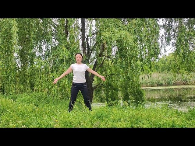 Баланс 4-х Стихий на озере в Кропивницком с Оксаной Русиной и хором лягушек, 4.06. МНШУ