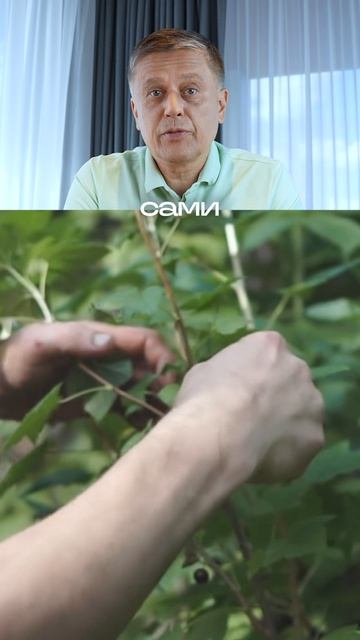 Пиши «свобода» для записи на экскурсию! #хаусбот #houseboat #домнаводе #жизньнаводе