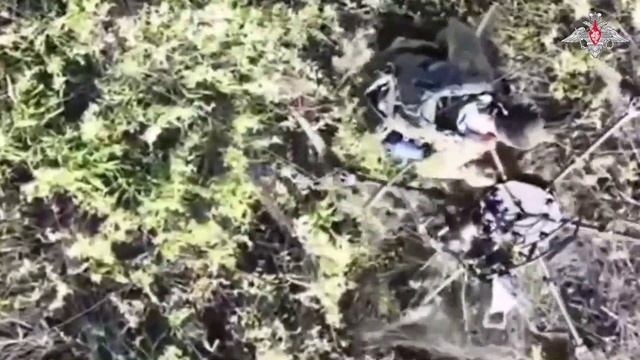 Боец разведывательно-штурмовой бригады «Волки» «Южной» группировки захватил гексакоптер ВСУ