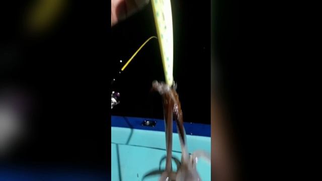 Два кальмара на кальмарный воблер 110мм (17гр)  Frog от Mr.Musurok🔥