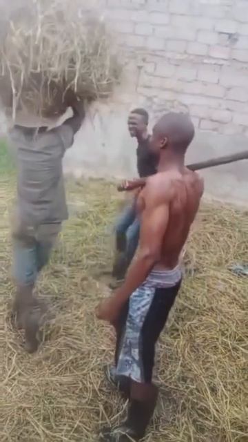 Видео от Департамент Вирусного Контента | ДВК