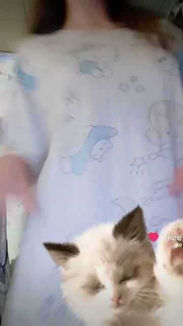 Я вас очень люблю здесь ещё подпишется