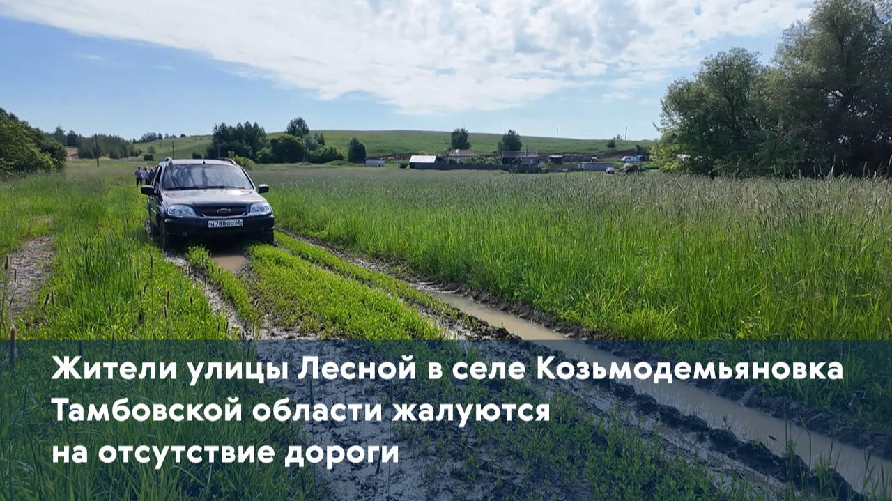 Жители улицы Лесной в селе Козьмодемьяновка Тамбовской области жалуются на отсутствие дороги
