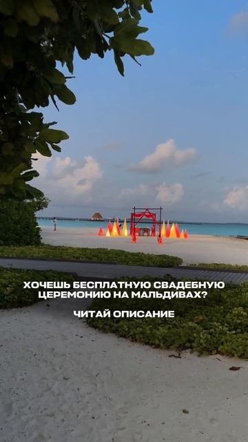 Хочешь бесплатную свадебную церемонию?