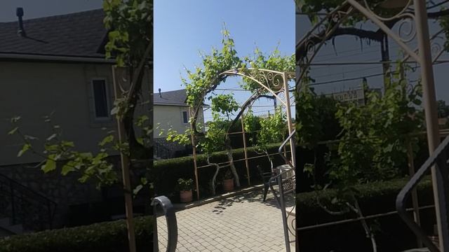 паркур