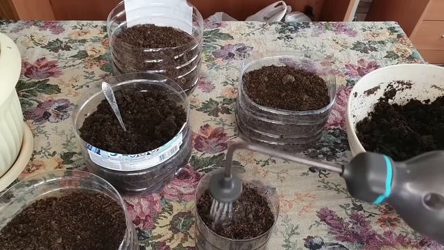 Правильныи посев баклажанов.