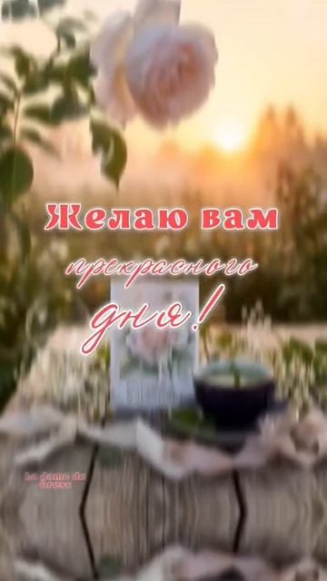 доброе утро