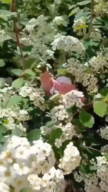 Лягушачья подборка💚