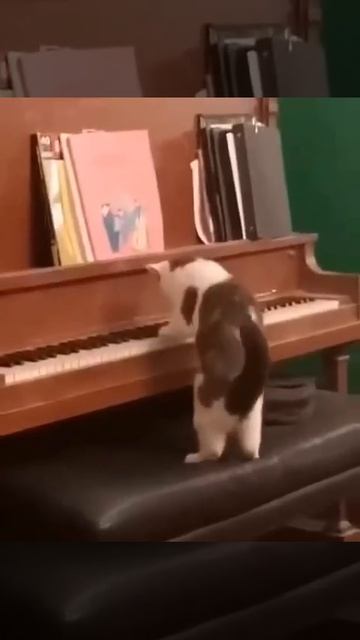 Прикол