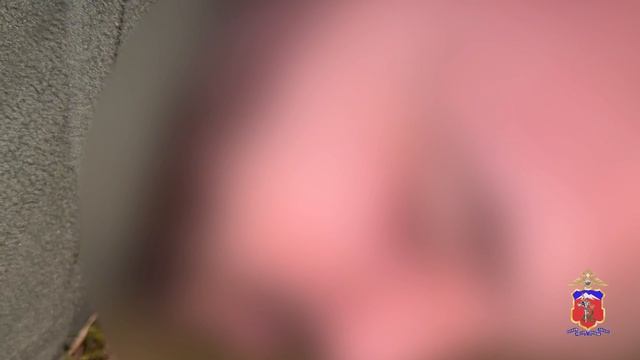 Жители Южной Осетии подозреваются в незаконном обороте и контрабанде оружия и боеприпасов в Россию